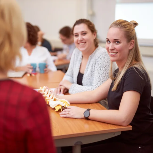 Masters fysiotherapie